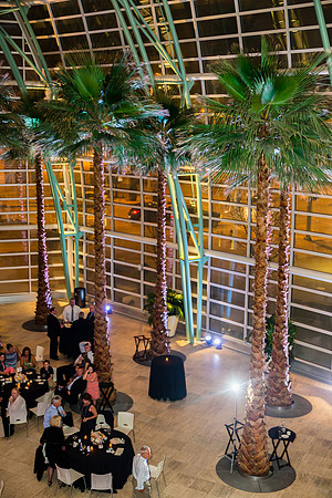 Dave & Stef Wedding-5507