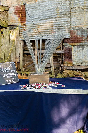 Stephen & AnnMarie Wedding-7224