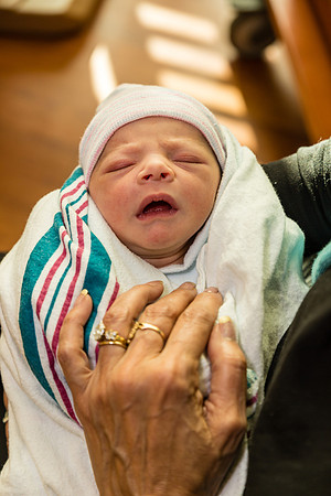 Ariany Frey 12-16-2015-2011