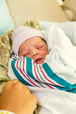 Ariany Frey 12-16-2015-2016