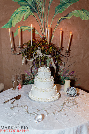 Brittney & Scotty wedding-0137