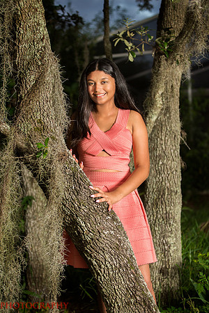 Yoneysi Quinceanera-2807