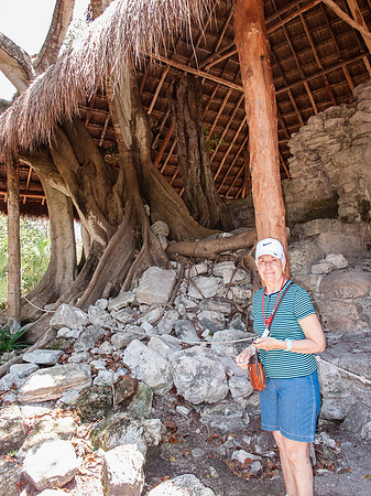 Cruise 2016-0279