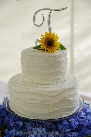 -1306_Alexis & Casey Wedding_668