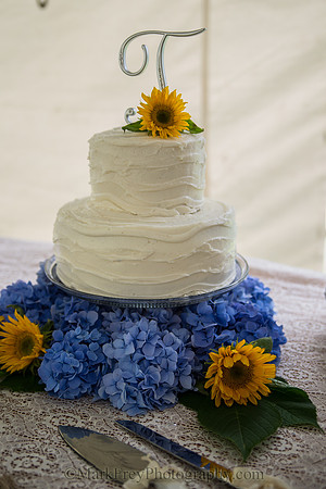 -1306_Alexis & Casey Wedding_669