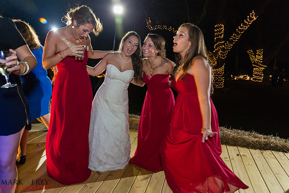 Stephen & AnnMarie Wedding-7545