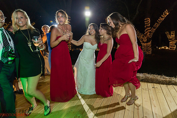 Stephen & AnnMarie Wedding-7546