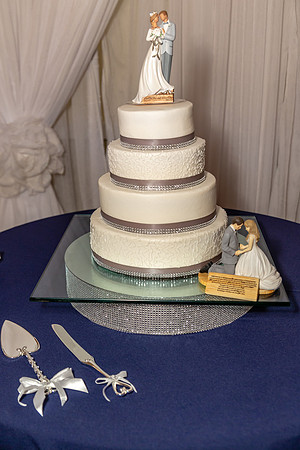 Nancy & Luis Wedding-9857