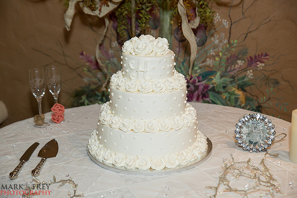 Brittney & Scotty wedding-0081