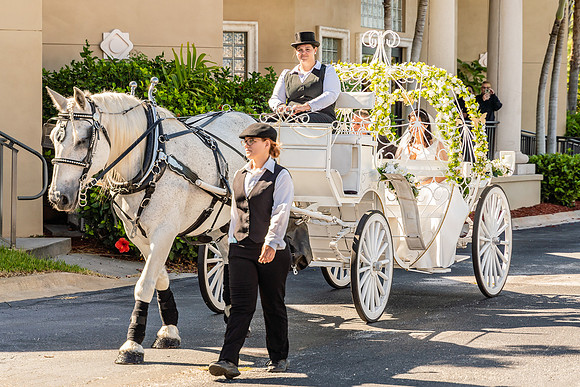 Joanne & Allan Wedding-07842