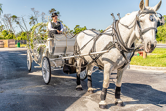 Joanne & Allan Wedding-07811