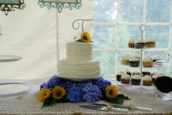 -1306_Alexis & Casey Wedding_671