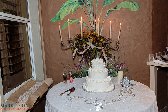 Brittney & Scotty wedding-0136