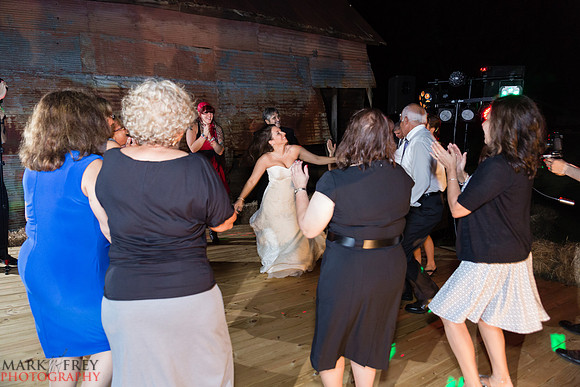 Stephen & AnnMarie Wedding-7528