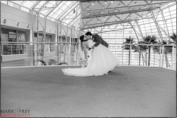 Dave & Stef Wedding-4962-Edit-Edit