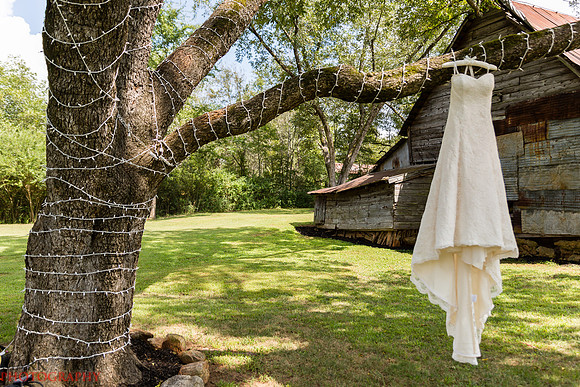 Stephen & AnnMarie Wedding-6295
